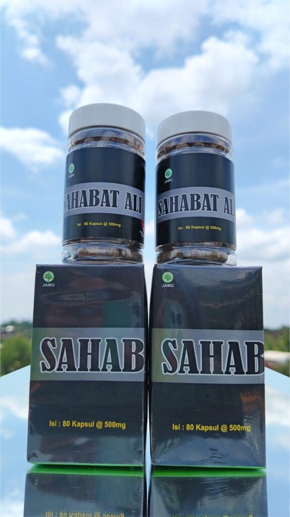 whatsapp image 2026 02 04 at 17.17.26